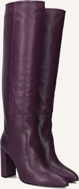 Paarse TORAL  12591 Paarse TORAL  12591 - large