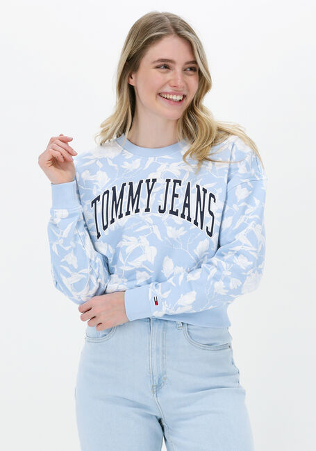 TOMMY JEANS Pull TJW AOP CREW Bleu clair - large