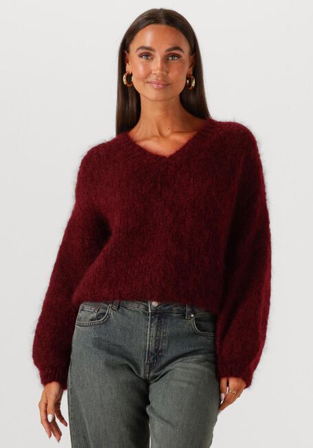 TWNS Pull ENGELWOOD Bordeaux - large