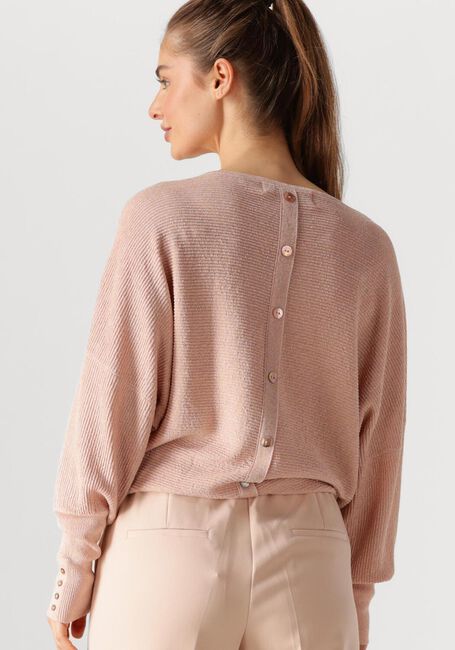 Roze NUKUS Trui BATWING PULLOVER LUREX - large