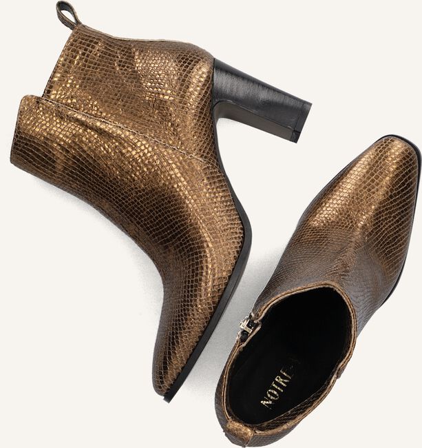 NOTRE-V 4838 NOTRE-V 4838 - large