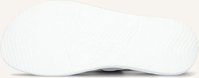 Paarse OMODA Sandalen M38031 Paarse OMODA Sandalen M38031 - large