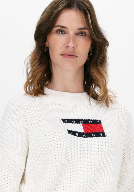 TOMMY JEANS Pull TJW CENTER FLAG SWEATER en blanc - large