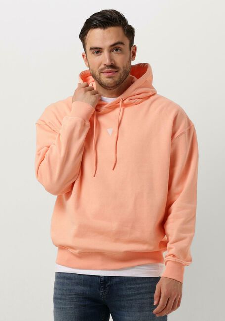 PURE PATH Pull HOODIE WITH BACK PRINT AND SMALL FRONTPRINT Corail - large