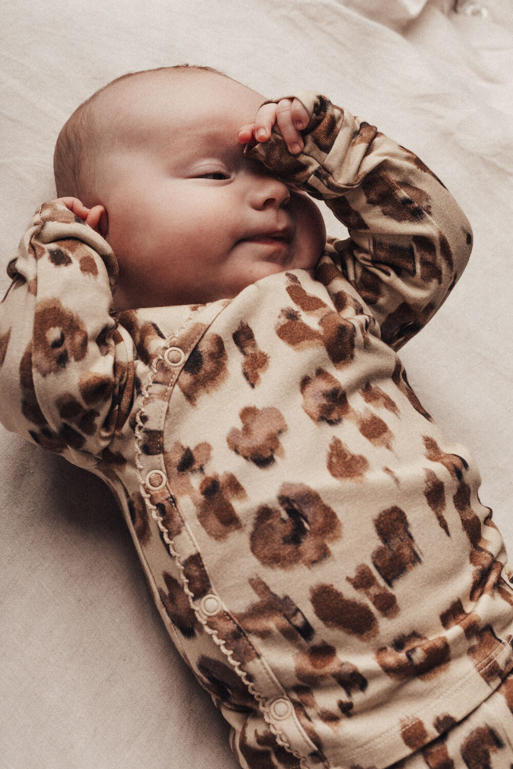 BAJE STUDIO MYREN Robes en marron - large