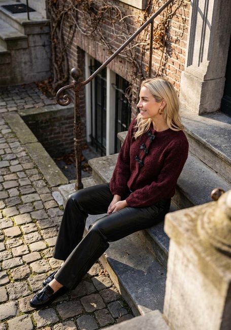 Y.A.S. Gilet YASBONA LS KNIT CARDIGAN S. Bordeaux - large