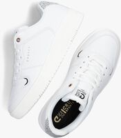 Witte CRUYFF Lage sneakers INDOOR ROYAL DAMES - medium