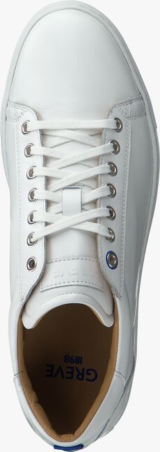 Witte GREVE Lage sneakers 6185 - large