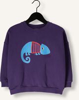 DAILY BRAT Pull SIR BLEND-A-LOT SWEATER en violet DAILY BRAT Pull SIR BLEND-A-LOT SWEATER en violet - medium