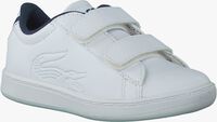 Witte LACOSTE Sneakers CARNABY 116 SPI - medium
