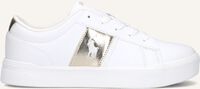 Witte POLO RALPH LAUREN Sneakers FRAZIER Witte POLO RALPH LAUREN Sneakers FRAZIER - medium