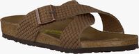 brown BIRKENSTOCK PAPILLIO shoe TUNIS  - medium