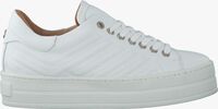 Witte VIA VAI Sneakers 4920101  - medium
