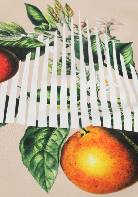 Zand PURE PATH Trui CREWNECK WITH FNT AND BACK PRINT Zand PURE PATH Trui CREWNECK WITH FNT AND BACK PRINT - large