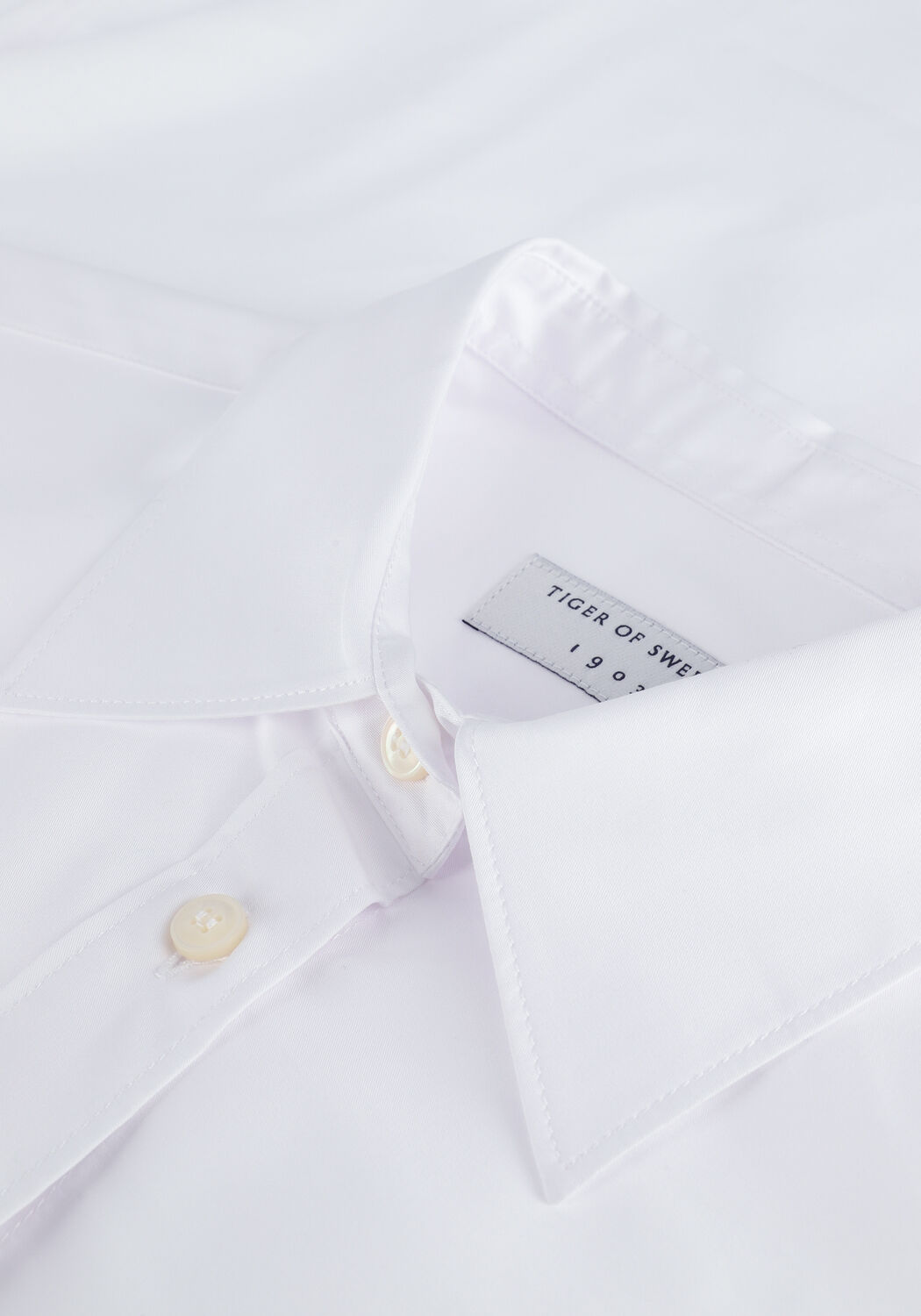 Witte TIGER OF SWEDEN  CORINNE - large