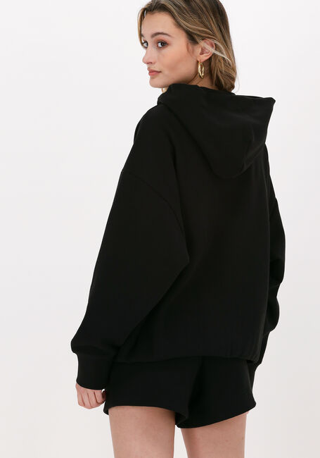 Zwarte CHAMPION Trui HOODED SWEATSHIRT DMS PLAIN - large