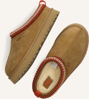 Cognac UGG Pantoffels TAZZ K Cognac UGG Pantoffels TAZZ K - medium