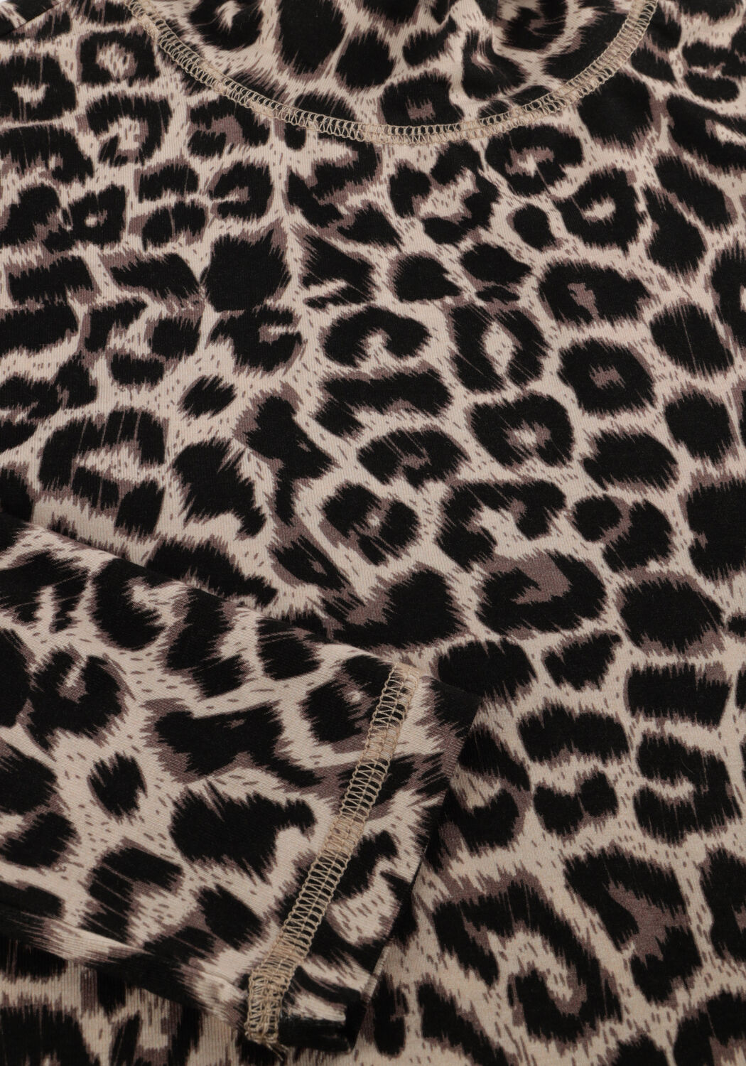 CATWALK JUNKIE Haut LEOPARD LONG SLEEVE en multicolore - large