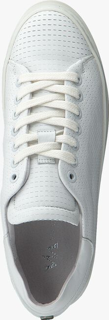 Witte VIA VAI Sneakers 5011026 - large