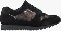 Black HASSIA shoe 301924  - medium
