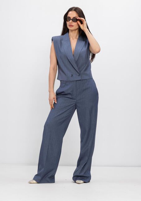 DANTE6 Pantalon ALAIN PINSTRIPE SMART PANTS en bleu - large