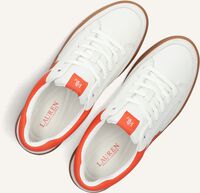 Witte LAUREN RALPH LAUREN Sneakers HAILEY 6 LOW TOP LACE Witte LAUREN RALPH LAUREN Sneakers HAILEY 6 LOW TOP LACE - medium