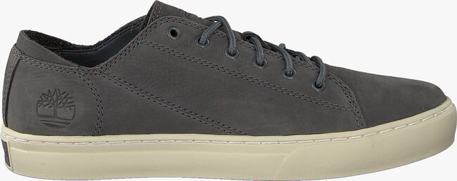 Grijze TIMBERLAND Lage sneakers ADV 2.0 CUPSOLE MODERN OX - large