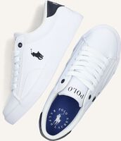 Witte POLO RALPH LAUREN Sneakers THERON IV Witte POLO RALPH LAUREN Sneakers THERON IV - medium