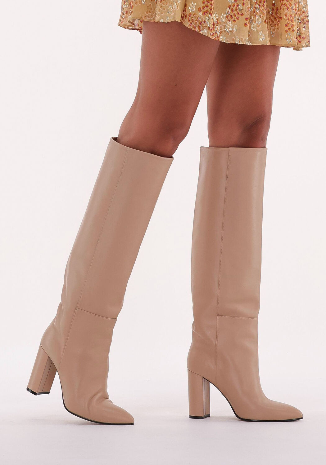 Camel TORAL  12591 - large