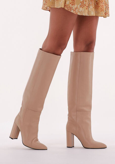 Camel TORAL  12591 - large