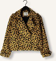 Oker AMAYA AMSTERDAM Jack LOTUS Oker AMAYA AMSTERDAM Jack LOTUS - medium