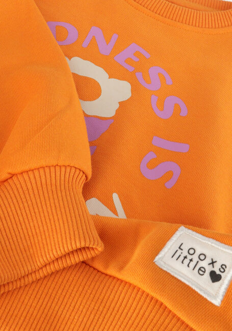 Oranje LOOXS Little Sweater 2411-7325 - large