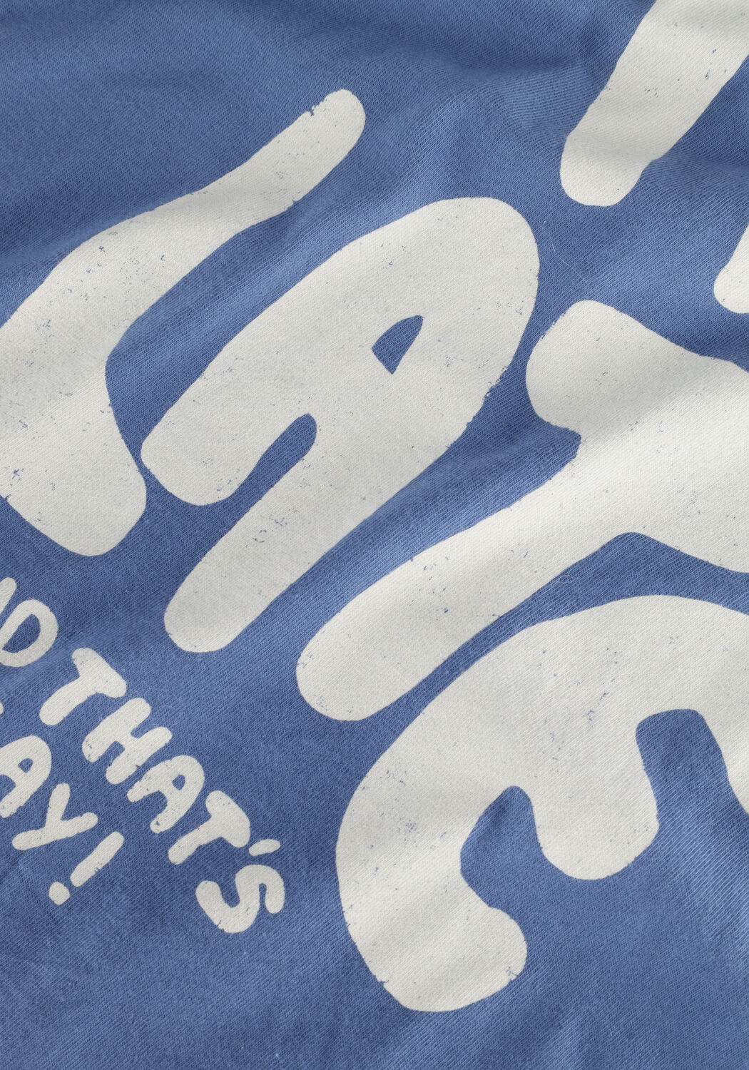 L&Ouml;TIEKIDS W22-25-09 Hauts & T-shirts en bleu - large