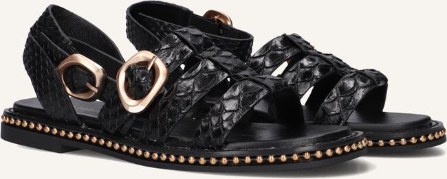 Zwarte NOA HARMON Sandalen 9737 Zwarte NOA HARMON Sandalen 9737 - large