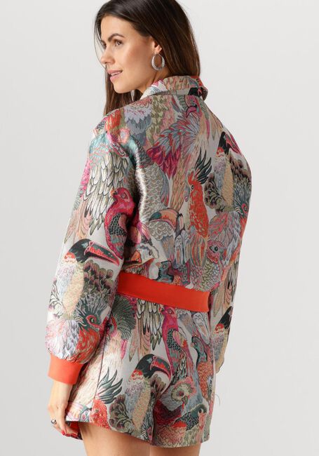 STUDIO AMAYA Jack HAILEY en multicolore - large