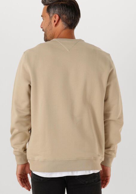 Beige TOMMY JEANS Trui TJM REG BADGE CREW EXT - large