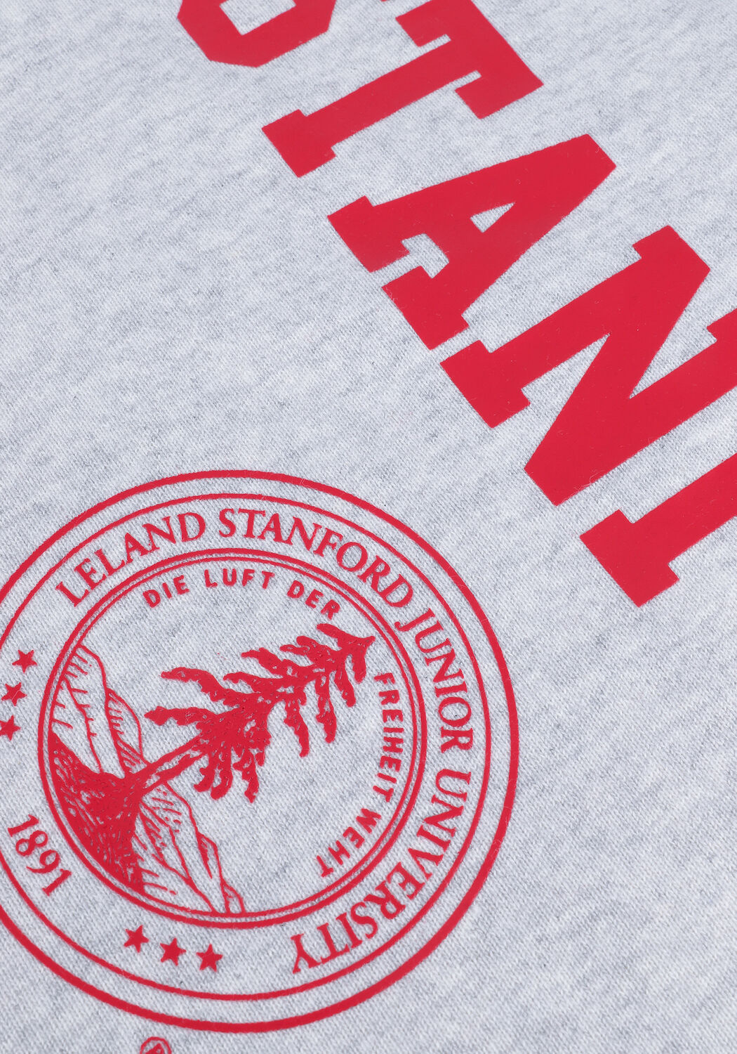 Lichtgrijze CHAMPION Sweater CREWNECK SWEATSHIRT - large