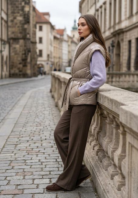 Beige DANTE6 Bodywarmer LEVIT WAISTCOAT - large