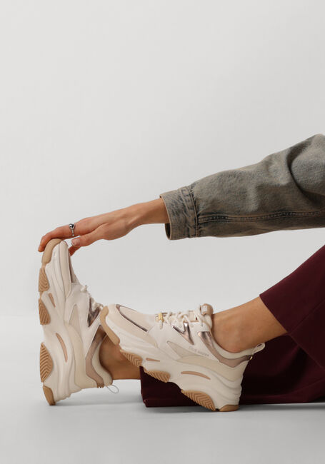 Beige STEVE MADDEN Sneakers PROGRESSIVE Beige STEVE MADDEN Sneakers PROGRESSIVE - large