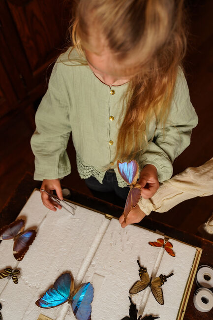 Mint KOKO NOKO  O56961 - large