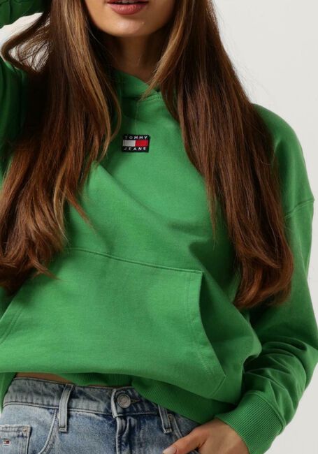 TOMMY JEANS Pull TJW XS BADGE HOODIE en vert - large