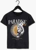 COLOURFUL REBEL T-shirt PARADISE TIGER ACID WASH BOXY TEE Gris foncé