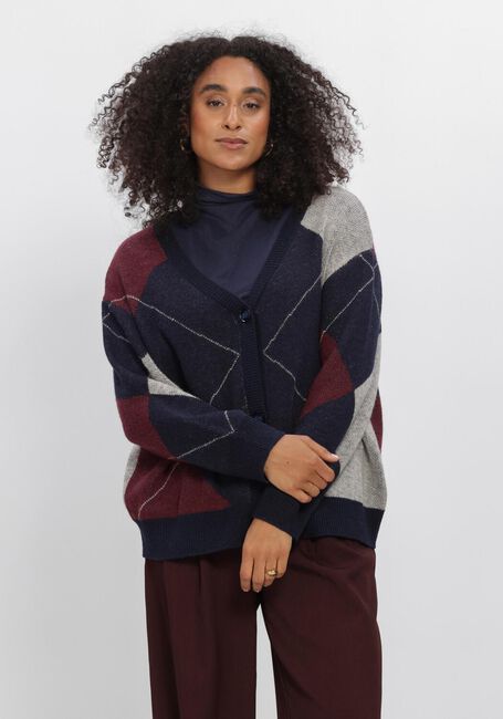Multi AIMEE THE LABEL Truien/vesten KENYAW6 KNITTED CARDIGAN - large
