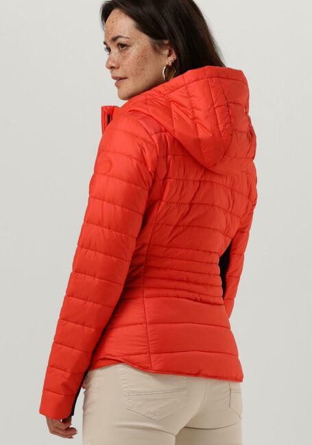 Rode BEAUMONT Gewatteerde jas SPORTY PADDED JACKET - large