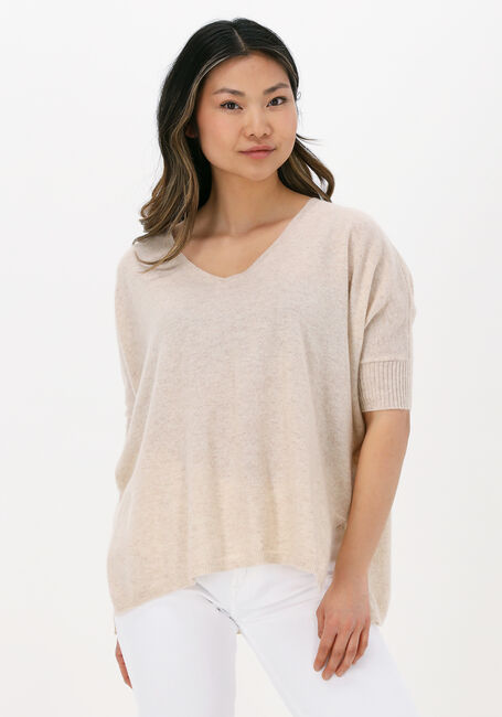 NOT SHY Pull AIMEE Sable - large