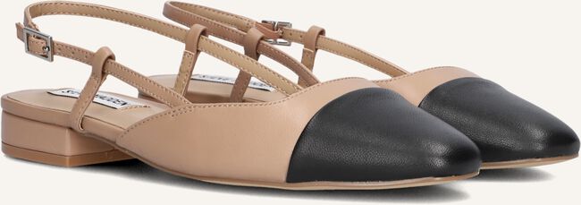 Bruine STEVE MADDEN  BELINDA Bruine STEVE MADDEN  BELINDA - large