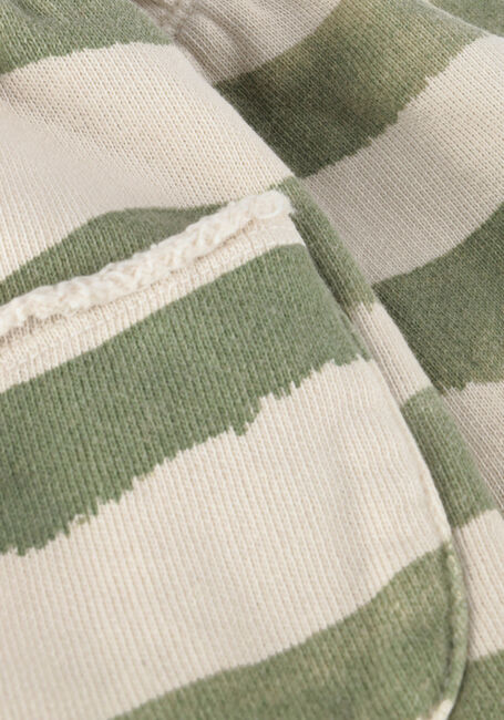 PLAY UP Pantalon courte PRINTED FLEECE SHORTS en vert - large