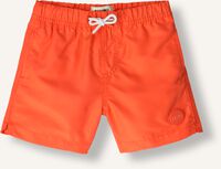 SHIWI Shorts de bain MILO SWIM SHORTS en orange SHIWI Shorts de bain MILO SWIM SHORTS en orange - medium