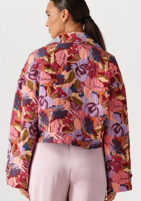 AMAYA AMSTERDAM Jack 261-42 en multicolore - large