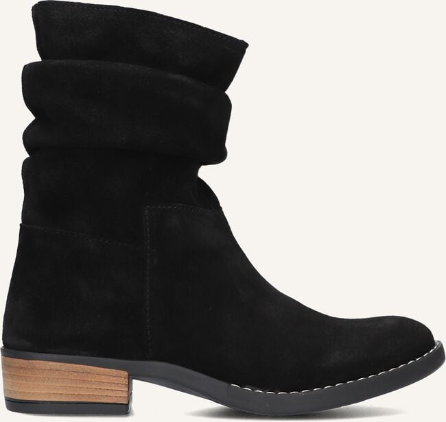 Zwarte HIP  H1738 Zwarte HIP  H1738 - large